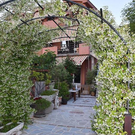Apartments Scepanovic Tivat Zewnętrze zdjęcie