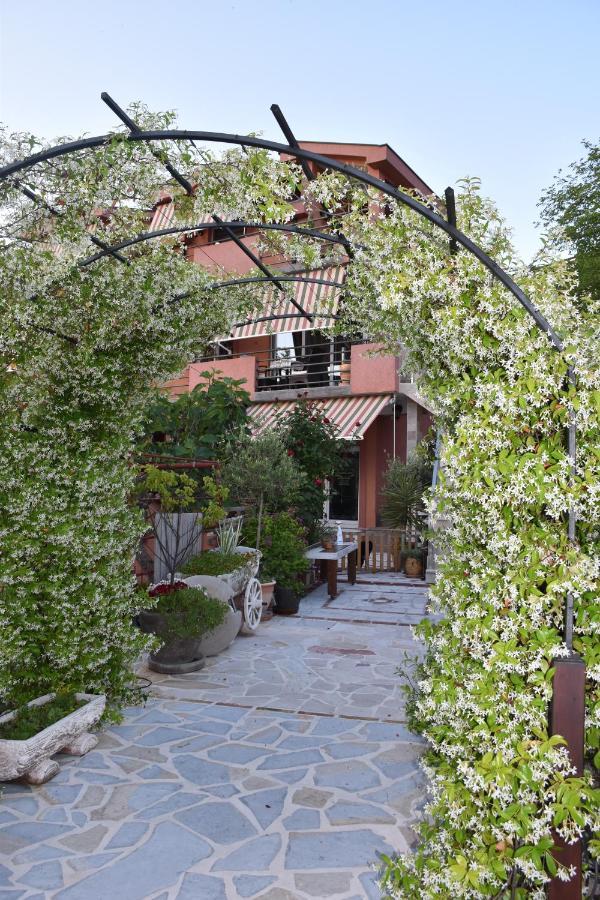 Apartments Scepanovic Tivat Zewnętrze zdjęcie