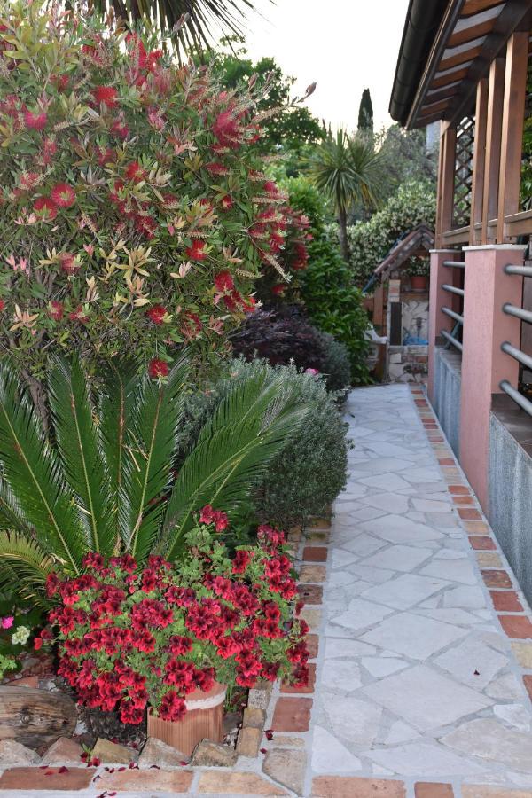 Apartments Scepanovic Tivat Zewnętrze zdjęcie