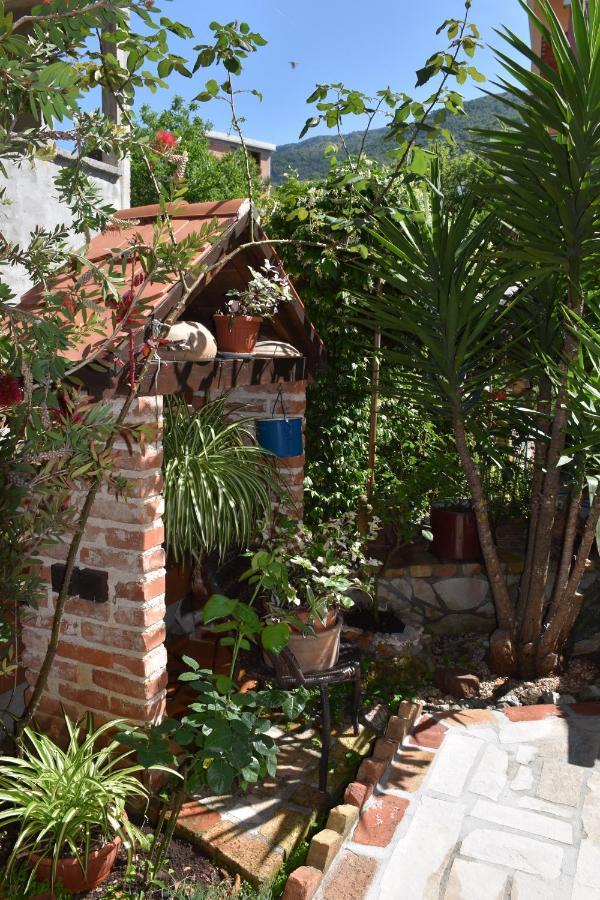Apartments Scepanovic Tivat Zewnętrze zdjęcie