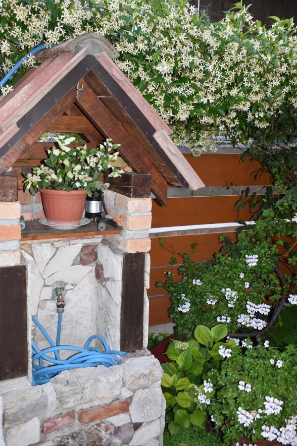Apartments Scepanovic Tivat Zewnętrze zdjęcie