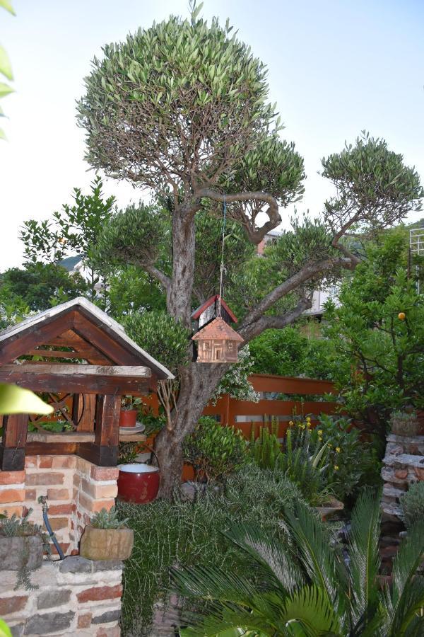Apartments Scepanovic Tivat Zewnętrze zdjęcie